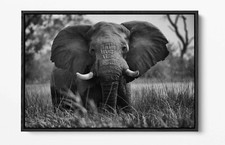 ELEPHANT 5 LARGE CANVAS WALL ART FLOAT EFFECT/FRAME/PICTURE/POSTER PRINT-GREY