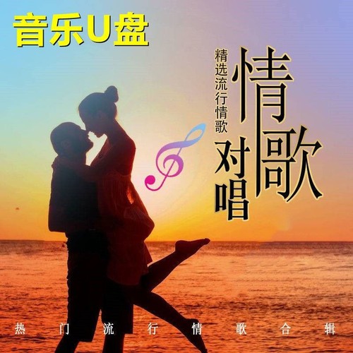 USB Flash Drive POP Classic Chinese Love Song Duets collection Car Music U Disk - Picture 7 of 16