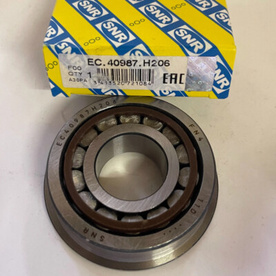 RISLEY　R2201-BJK 281 RISLEY R2201-BJK 281
