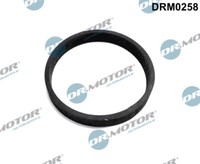 Dr.Motor Automotive Dichtung Turbineneinlass FüR Ford Mondeo IV Turnier 2.0
