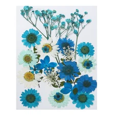 Dried Pressed Flowers Natural Leave Real Pressed Flowers Blue Series