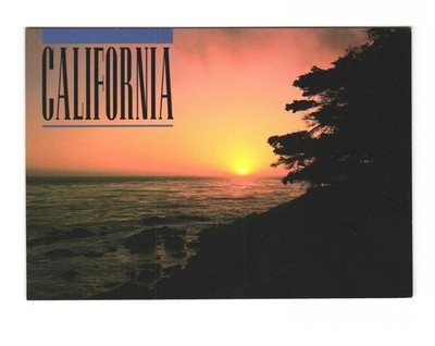 California Much Beauty To Behold in the Golden State Postcard Unposted 