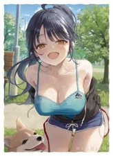 Yamada Anna The Dangers in Myheart Card Sleeve Protector In Stock Ships from USA