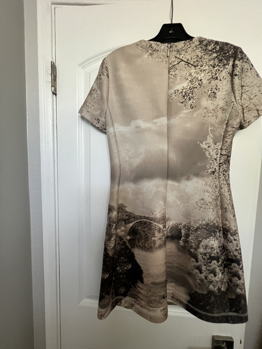 BCBG maxazria Beige Mini dress Size 2 | eBay