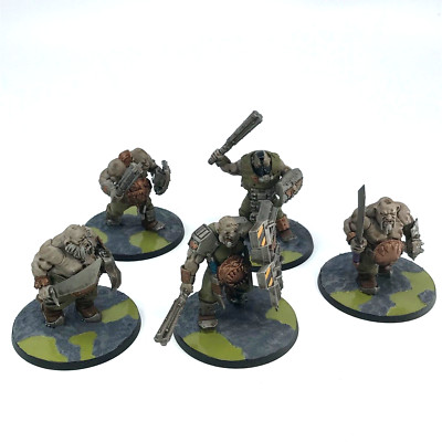 Bullgryn Ogryn Custom Squad Astra Militarum - Warhammer 40K bemalt BOX147