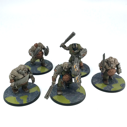 Astra Militarum: Bullgryn main image 0