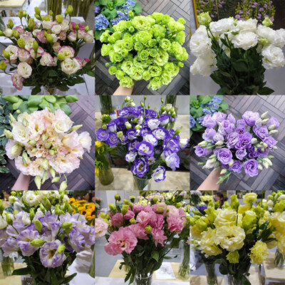 Eustoma Grandiflorum Samen Outdoor Blumensamen Garten Hof DekoSeeds 300Stück 