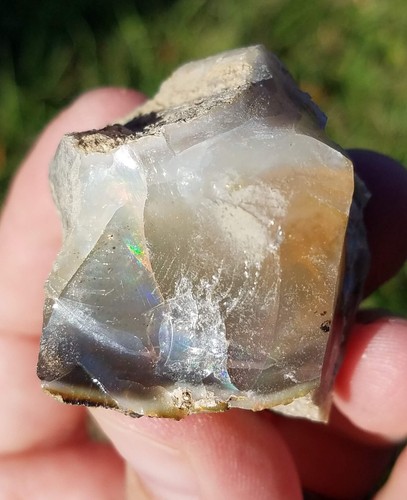 MINE DE BONANZA EN BOIS OPALE VIRGIN VALLEY, NEVADA 298 CARATS #D26 - Photo 4 sur 9