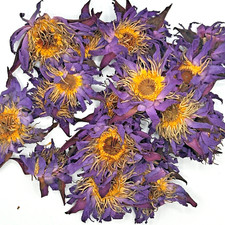 Egyptian Blue Lotus Flowers Nymphaea Caerulea 1 oz 28g 