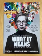 What it Means- The Play promotional flyer