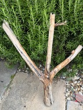 3 BRANCH CHUNKY DRIFTWOOD Sea Wood Art Display Large Hanger Nautical Sculpture 