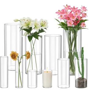 Vase Cylindre En Verre Transparent 26,5 Cm Pour Fleurs Déco Intérieure Style Floral