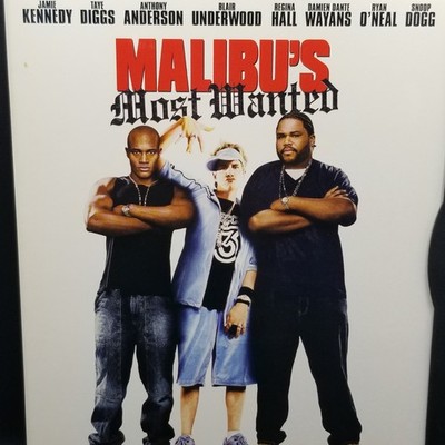Malibu's Most Wanted DVD 2003 Jamie Kennedy Taye Diggs Hip Hop Comedy Movie PG13