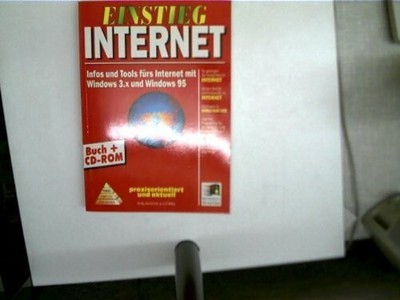Einstieg Internet, m. CD-ROM: Infos und Tools fürs Buch Naumann & Göbel