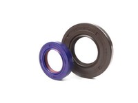 Wellendichtringsatz FüR Kurbelwelle -POLINI Evolution Membran PTFE/FKM- Vespa V5
