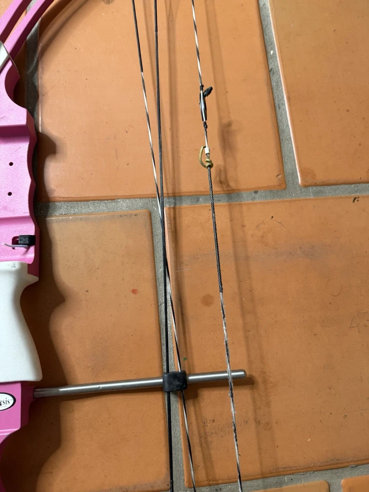 Genesis Archery Bow Target Practice Compound 10-20 Lbs Right Handed, Pink - Image 3 of 4