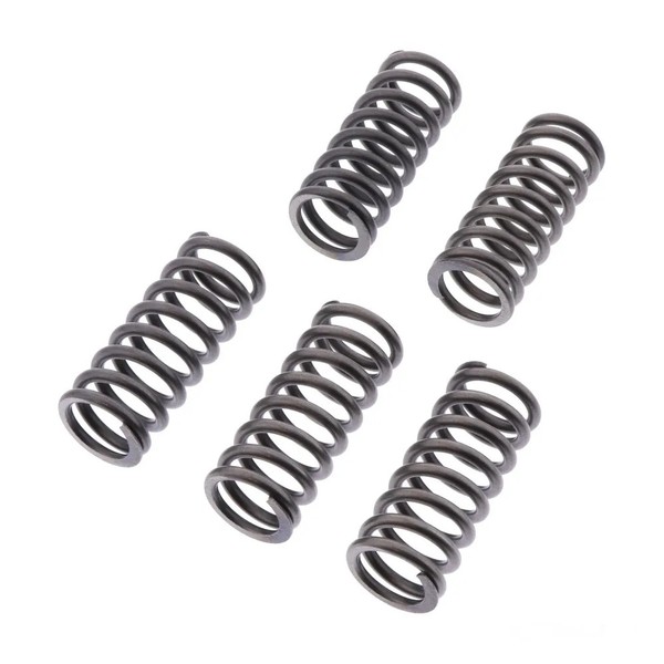 Kupplungsfedern VerstäRkt EBC 6Stk CSK262 FüR Triumph Bonneville 865 Bj. 2007-image