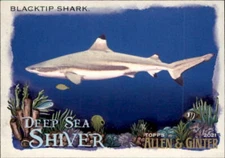 Blacktip Shark 2021 Topps Allen & Ginter Deep Sea Shiver Card #DSS-8