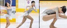 New Ice Figure Skating Dress Figure Skating Dress For Competition gray dyeing