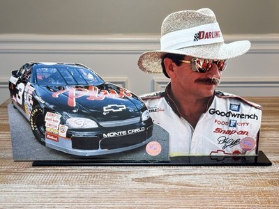 Dale Earnhardt Stand Up Racing Reflections