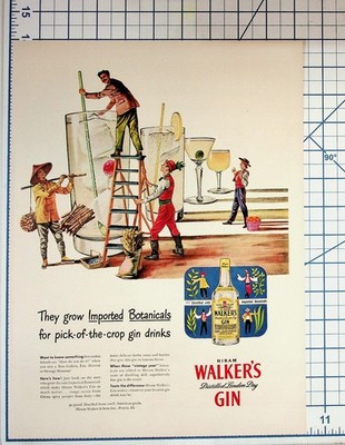 Hiram Walker's Gin Vintage Magazine Ad Imported Botanicals Bar Decor Ephemera