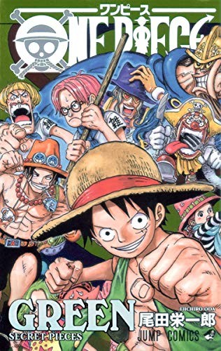 Eiichiro Oda: One Piece Green Secret Piece (Guide Book) Japan book form JP