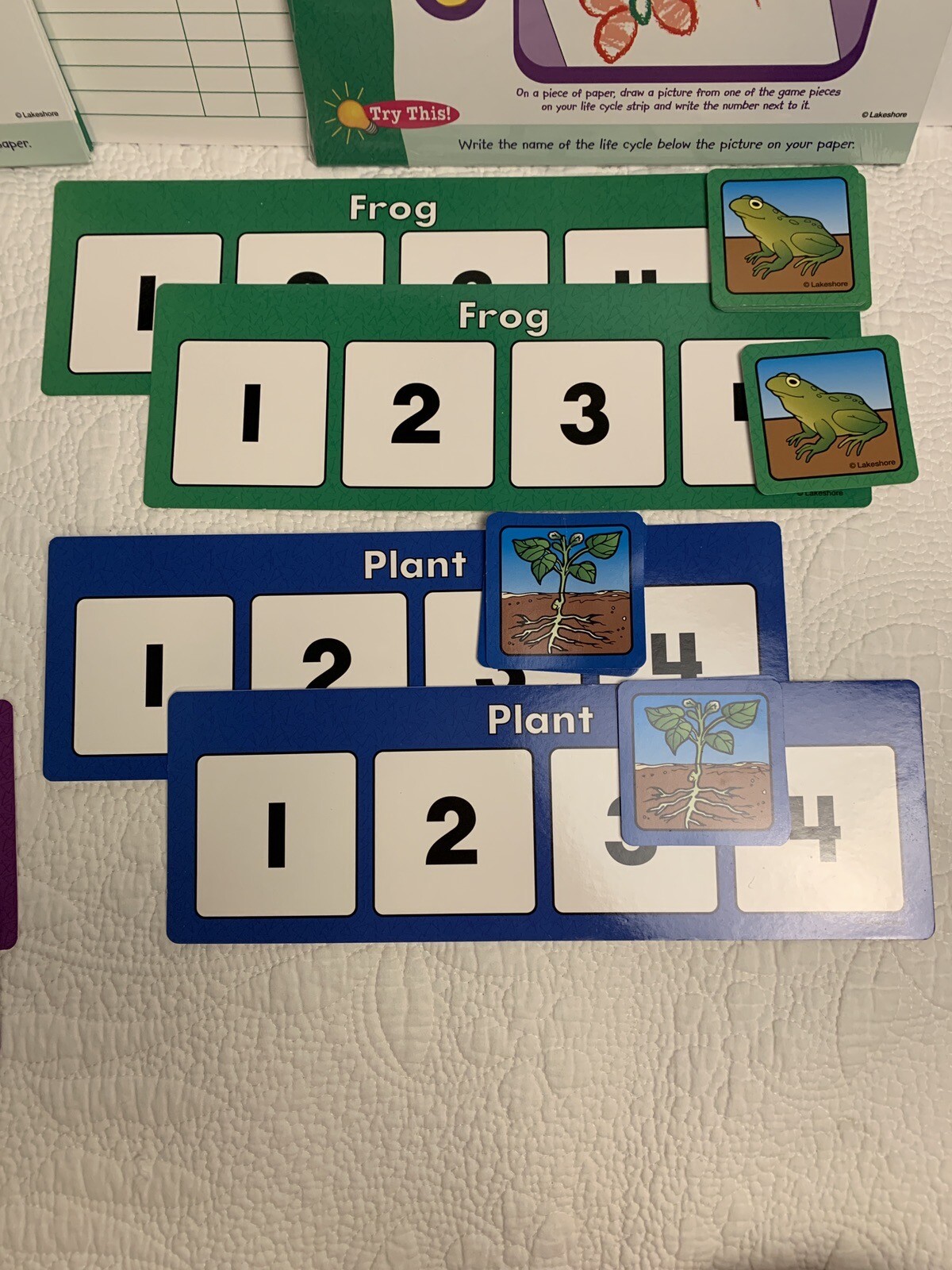 Lakeshore Learning Science Instant Learning Center Life Cycles (Two