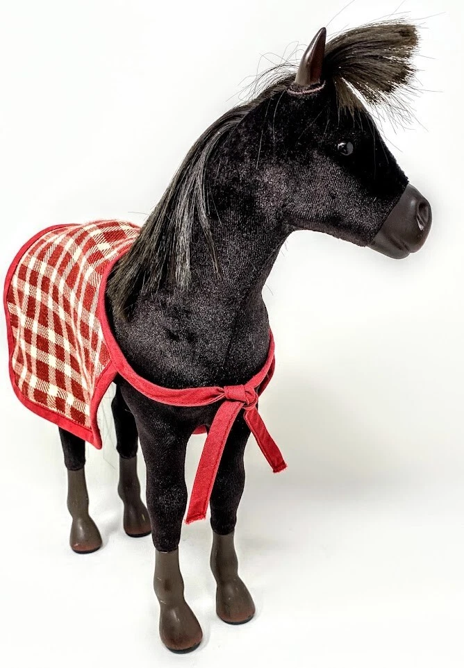 American outlet girl foal