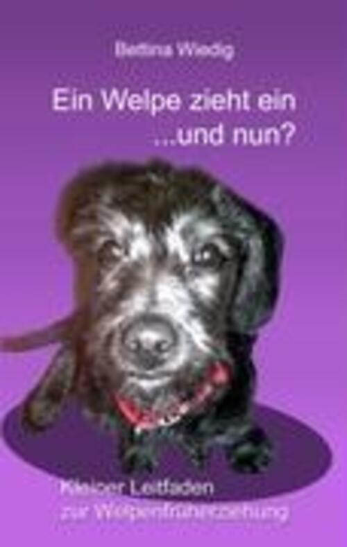 Thumbnail - Ein Welpe Zieht Ein ... Und Nun? | Bettina Wiedig | Taschenbuch |