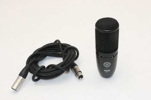 AKG P120 High-Performance Studio Recording Microphone