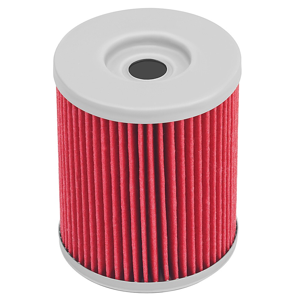 Engine Oil Filters With O-rings For CFMOTO ZForce CForce - Foto 5