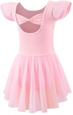 Mecceos Ballet Leotards with Skirt for Toddler 4-6 Years, S1 ballet Pink