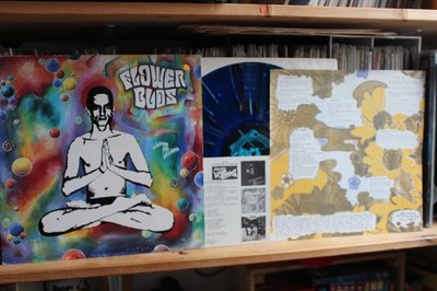 Flower Buds   Waiting For Nirvana - Bonzen Records   BONZ 005 - Vinyl LP