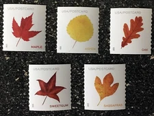 2025USA #5971-5975 Postcard Forever Rate Vibrant Leaves - Coil Set of 5 Singles