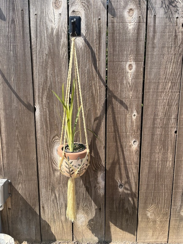 Vintage- Late 1970’s To 1980’s Light Yellow Macrame Hanger - 36”