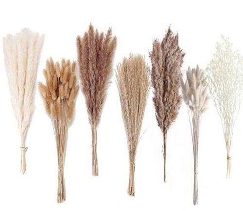 Dried Pampas Decoration, 128 Pieces Pampas with Rabbit  Assorted sizes