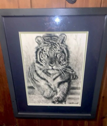 Beautiful Hand Drawn And Signed Glass Framed Tiger Portrait