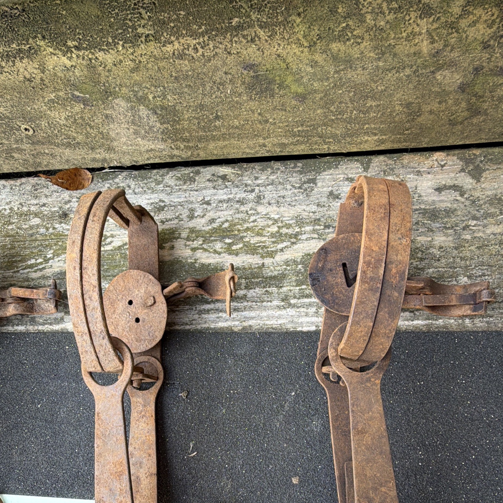 Vintage Steel Foothold Hunting Animal Traps w/ Chains, Lot of 5 | eBay