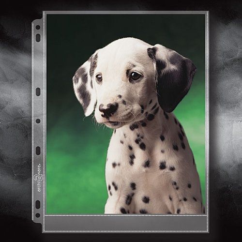 Archivalware Lineco Polypropylene Photo Page 8X10 In 25Pk - New Factory Sealed - Picture 1 of 3