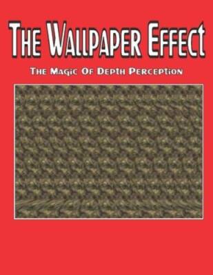 The Wallpaper Effect: The Magic Of Depth Perception - Paperback - GOOD