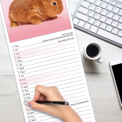 Rabbits Slim 2026 Calendar | Slimline Gift 15% OFF MULTI ORDERS - Picture 4 of 8