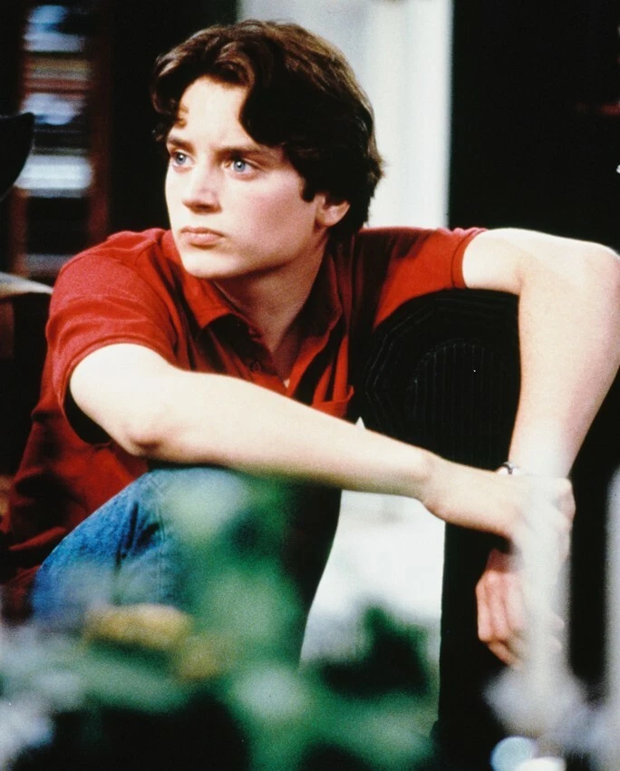 Elijah Wood Young Portrait In Red Shirt 8x10 Photo(20x25cm) | eBay