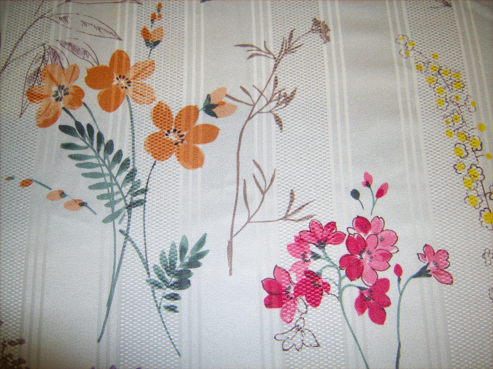 Picture 5 of 13