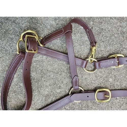 New 1" wide Brown Color Beta Biothane Horse Halter with Brass Hardware - Picture 5 of 5