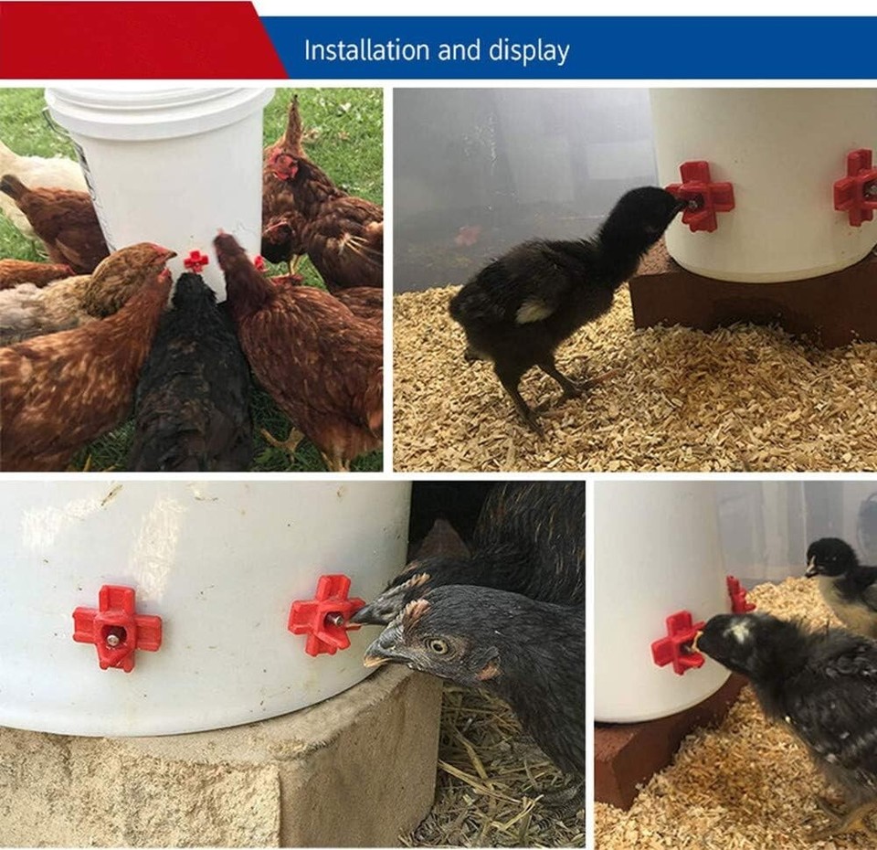 Automatic Chicken Water Nipples Drinker For Chicken Automatic Chicken Drinker Poultry Drinker Bundle 1224706606