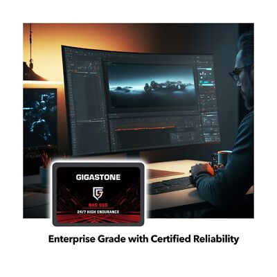 Gigastone Enterprise 1TB NAS SSD (2-Pack) 24/7 High Endurance