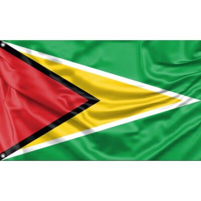 Guyana Flagge I einzigartiges Design, 3 x 5 Fuß/90 x 150 cm, hergestellt in der EU