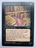 Insidious Bookworms - Alliances - MTG Alliances 1996 Magic The Gathering