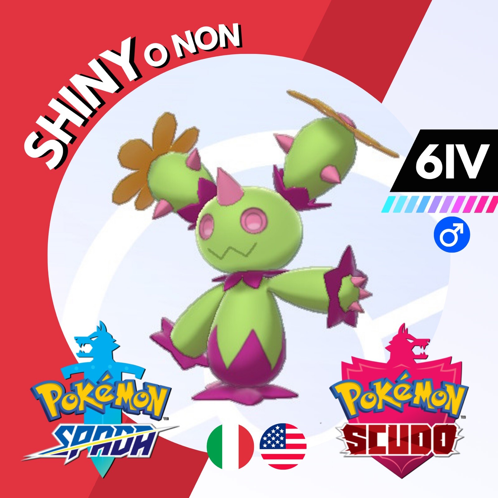 Maractus Shiny or Not 6 IV Competitive Legit Pokemon Sword Shield Sword Shield