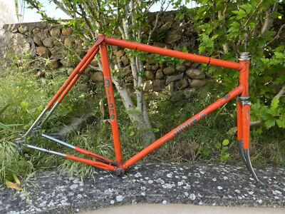 MERCIER F1 1980S shimano simplex / peugeot PX10 PY10 gitane mercier colnago gios EUR 199,00 - FR